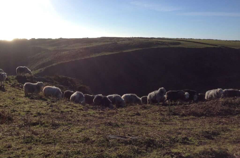 Grant Funding for Rural Businesses